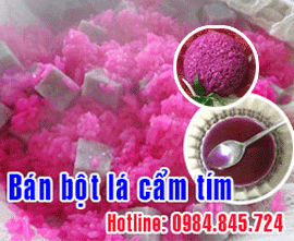 bột lá cẩm