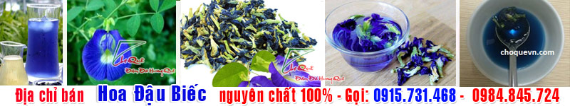 Hoa đậu biếc khô